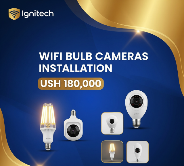 Portable cameras